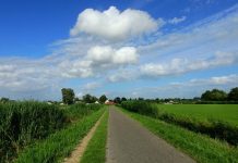 Nowy trend: Niemcy coraz częściej przeprowadzają się na wieś