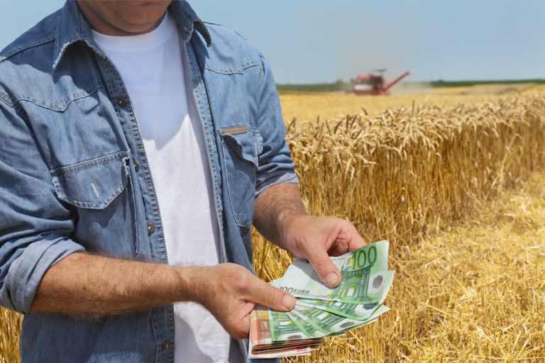 Dobrze płatny zawód czy wręcz przeciwnie? Ile tak naprawdę zarabiają rolnicy w Niemczech?