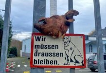 Dortmund: nieznana osoba powiesiła łeb świni na bramie meczetu
