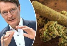 Niemcy: jest porozumienie w sprawie legalizacji marihuany, nowe przepisy od 1 kwietnia