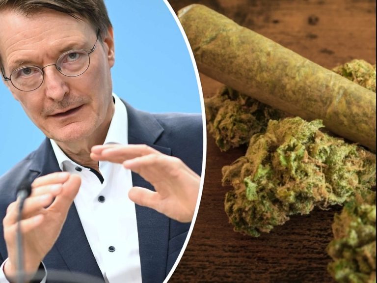 Legalizacja marihuany w Niemczech: od kiedy i co się zmieni w kwestii posiadania, konsumpcji i zakupu?