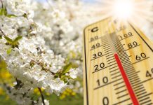 Prognoza pogody dla Niemiec: najpierw upały, po kilku dniach znowu ochłodzenie