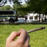 marihuana za kółkiem