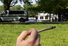 Niemcy: Bundestag wprowadza poprawki do ustawy dotyczącej marihuany