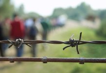 Niemiecki związek zawodowy policji: w najbliższych miesiącach liczba migrantów znacznie wzrośnie