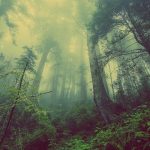 natura, las