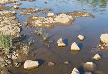 Z powodu suszy powiat Viersen wprowadza zakaz poboru wody z jezior i rzek i grozi grzywną do 50 tys. euro