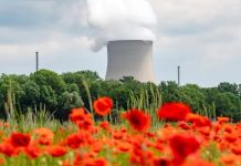 41% Niemców chce nowych elektrowni jądrowych