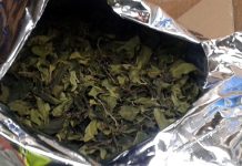 Celnicy skonfiskowali na lotnisku w Monachium 1,2 tony khatu!