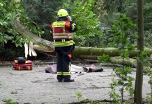Pierwsza ofiara śmiertelna niżu burzowego „Poly” w Niemczech