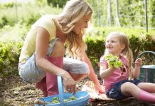 Ogródek działkowy w Niemczech – koszty oraz najważniejsze informacje!