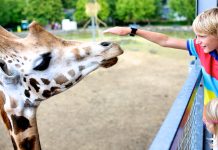 10 najpiękniejszych ogrodów zoologicznych w Niemczech!