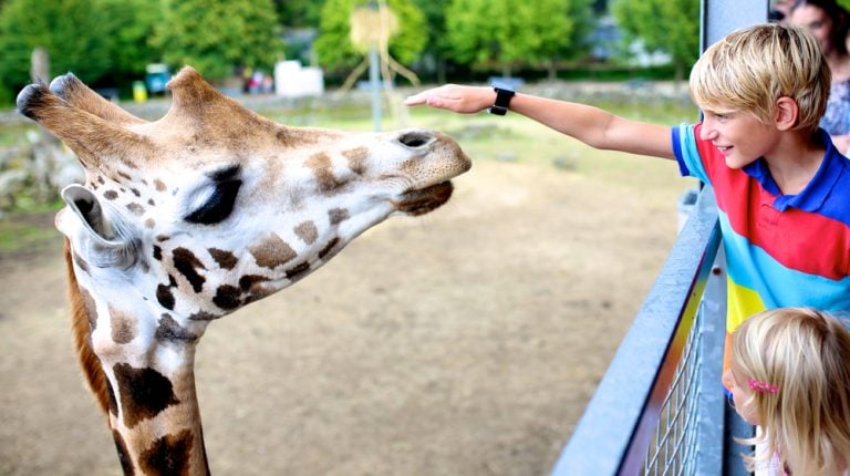 10 najpiękniejszych ogrodów zoologicznych w Niemczech!