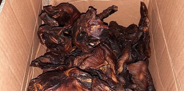 Niemcy: Policja skonfiskowała pieczone nietoperze