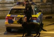 Hamburg: mężczyzna dźgnął nożem psa policyjnego