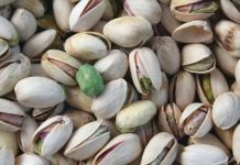 Toksyna pleśniowa w pistacjach – Aldi wycofuje popularną przekąskę