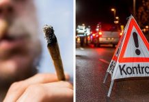 Za posiadanie w Niemczech marihuany może grozić 6 miesięcy więzienia. Mimo legalizacji!