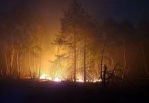 Płomienie na 150 hektarach – pożar lasu w Brandenburgii wymknął się spod kontroli