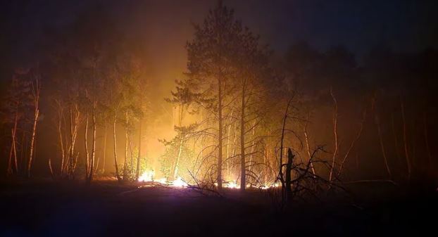 Płomienie na 150 hektarach – pożar lasu w Brandenburgii wymknął się spod kontroli
