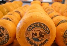 Mężczyzna próbował przemycić przez granicę niemiecko-szwajcarską ponad 100 kilogramów sera!