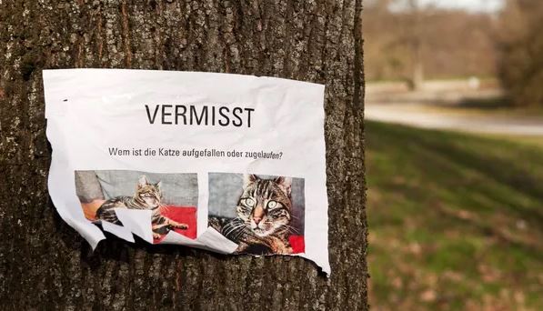 Niemcy: policja ostrzega przed oszustami, wykorzystującymi desperację właścicieli zwierząt domowych