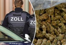 Konopie indyjskie legalne w Niemczech, ale import z Holandii nadal zabroniony