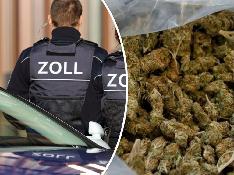 Konopie indyjskie legalne w Niemczech, ale import z Holandii nadal zabroniony