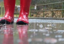 Meteorolodzy zapowiadają burze i silne opady deszczu w środkowych i południowych Niemczech