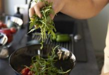 Niemcy: RKI informuje o wysokiej liczbie przypadków Salmonelli – bakterię wykryto w rukoli