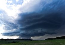 Do Niemiec nadciąga orkan Klaus – może nawet wyrywać drzewa z korzeniami!