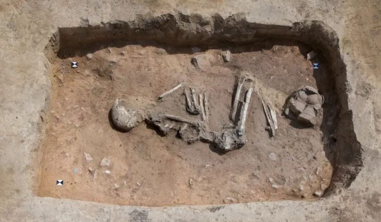 Spektakularne znalezisko w Saksonii-Anhalt:  Archeolodzy odkryli groby sprzed 6.000 lat