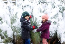 Białe święta w Niemczech: czy naprawdę w przeszłości częściej zdarzały się opady śniegu w okresie Bożego Narodzenia?