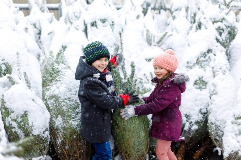 Białe święta w Niemczech: czy naprawdę w przeszłości częściej zdarzały się opady śniegu w okresie Bożego Narodzenia?