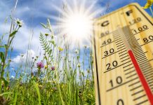 Prognoza pogody dla Niemiec: w Zielone Świątki termometry pokażą nawet 27 stopni!