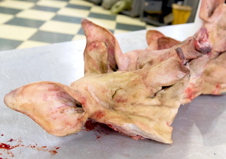 Niemcy: Szczątki świni pod meczetem. Sprawą zajmuje się Staatsschutz