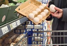 Wielki test jajek przed Wielkanocą: Aldi wypada najgorzej!