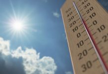 Wiosna w Niemczech – termometry pokażą nawet 20 stopni! Czy ciepła pogoda utrzyma się także w kolejnych tygodniach?