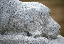 Czy w Niemczech wolno samemu pochować zwierzę? Co jest dozwolone, a za co grozi grzywna w wysokości 15 tys. euro?