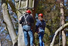 16 najlepszych parków linowych w Niemczech