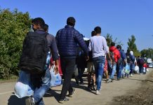 Niemcy pod presją migracyjną: Jak Grecja wykorzystuje system azylowy UE