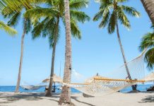 Dobra wiadomość dla pracowników w Niemczech – zaległy urlop nie będzie wygasał