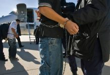 Czterech Niemców w areszcie deportacyjnym: Czy podróże do USA są nadal bezpieczne?