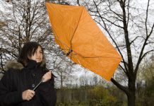 Załamanie pogody w Niemczech: synoptycy zapowiadają silny wiatr i burze!