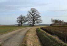 Szokująca prognoza pogody dla Niemiec na styczeń i luty. A w Sylwestra termometry mogą pokazać nawet 20 stopni!