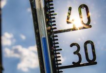 W Niemczech spodziewać się można niebawem temperatur nawet powyżej 40 stopni! Kiedy upał robi się niebezpieczny?