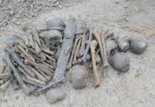 Nadrenia Północna-Westfalia: Pracownicy budowlani znaleźli 15 ludzkich czaszek