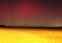 Rzadki spektakl na niebie – zorza polarna nad niemieckimi polami